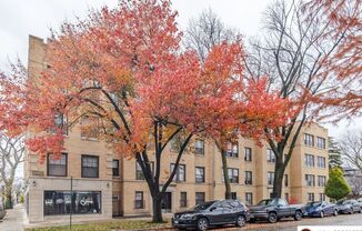 Studio, 1 bath, 585 sqft, $1,195, Unit 748-37