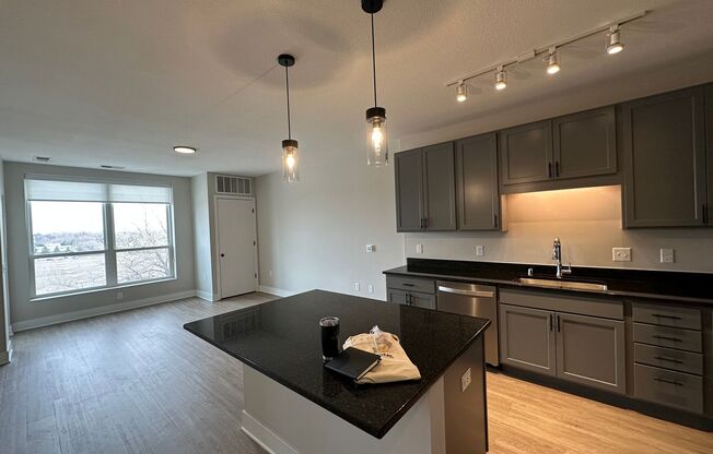 1 bed, 1 bath, 555 sqft, $1,795, Unit 516