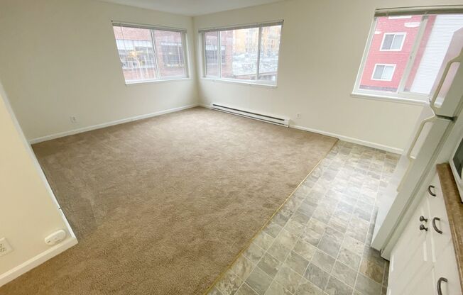 1 bed, 1 bath, 475 sqft, $1,250, Unit 207