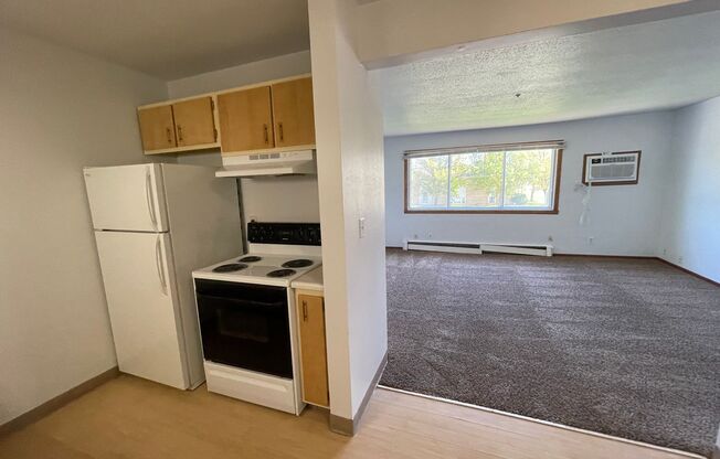 2 beds, 1 bath, 550 sqft, $695, Unit 1119-206