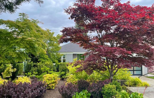View Ridge 4 Bed, 2 Bath Home