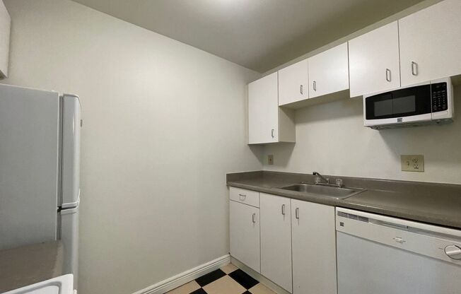 1 bed, 1 bath, 504 sqft, $1,395, Unit 117