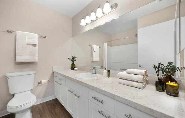 a bathroom with a large mirror and a toilet and a sink
