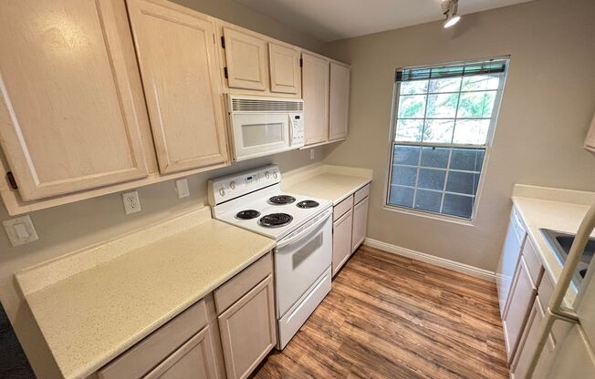 1 bed, 1 bath, $1,295, Unit 124