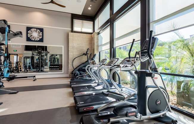 A gym with treadmills and exercise equipment.