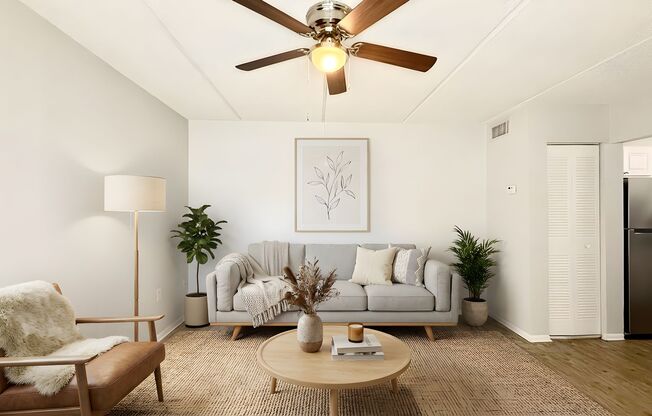 1 bed, 1 bath, 439 sqft, $1,255