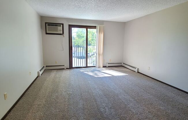 Studio, 1 bath, 438 sqft, $1,070, Unit 304