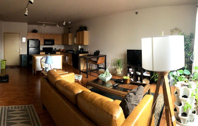 1 bed, 1 bath, 730 sqft, $1,200, Unit 105