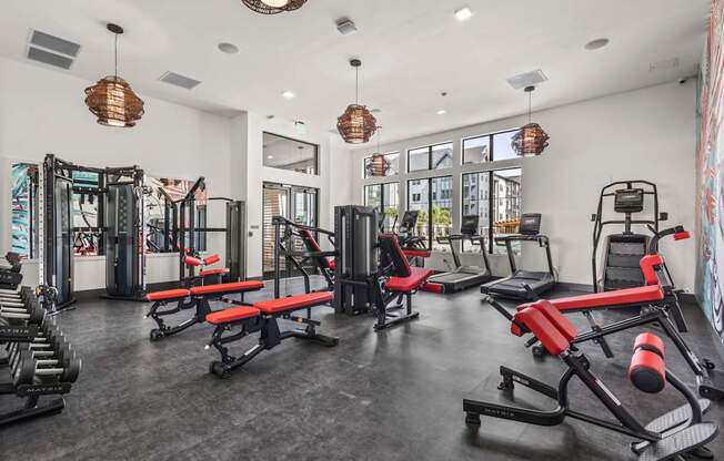A gym with a variety of equipment including treadmills, weights, and benches.