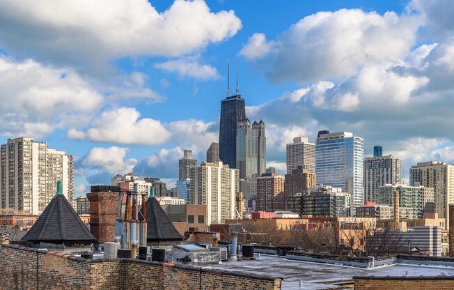 1511 Sedgwick