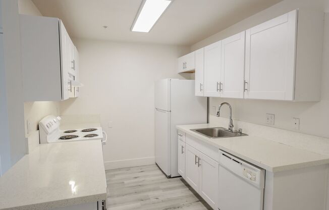 1 bed, 1 bath, 564 sqft, $1,425, Unit 61