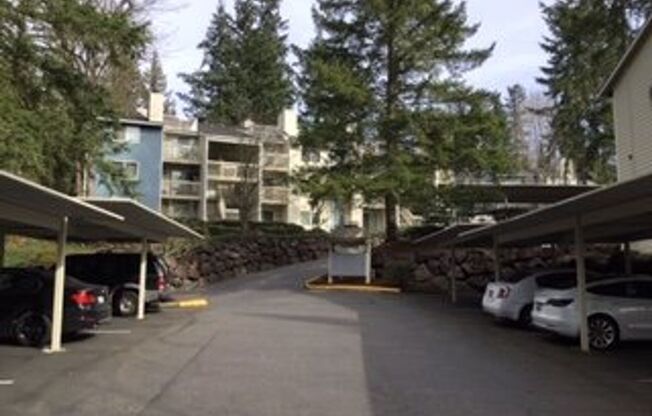 Cute and Upgraded Condo in Redmond!