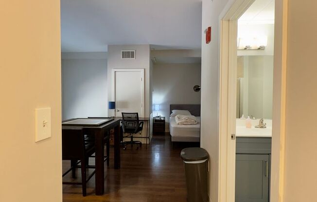 Studio, 1 bath, 419 sqft, $1,475, Unit HA-206