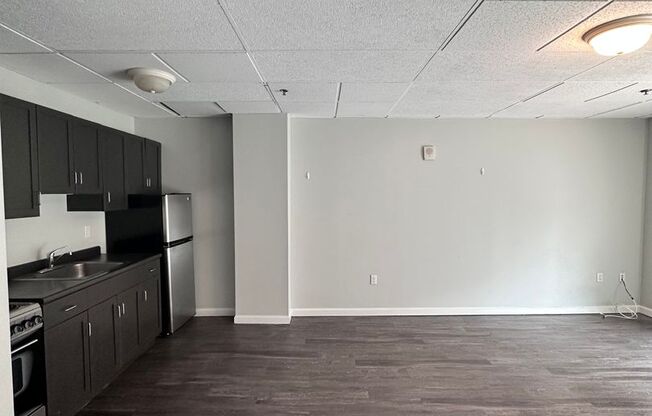 Studio, 1 bath, 215 sqft, $1,495, Unit 206