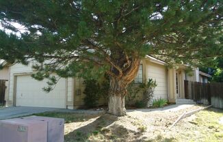 3 Bed 2 Bath 2 Car Garage in quiet NW Suburban Reno neighborhood