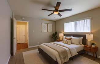 A bedroom with a bed, a ceiling fan, and a nightstand with a lamp.