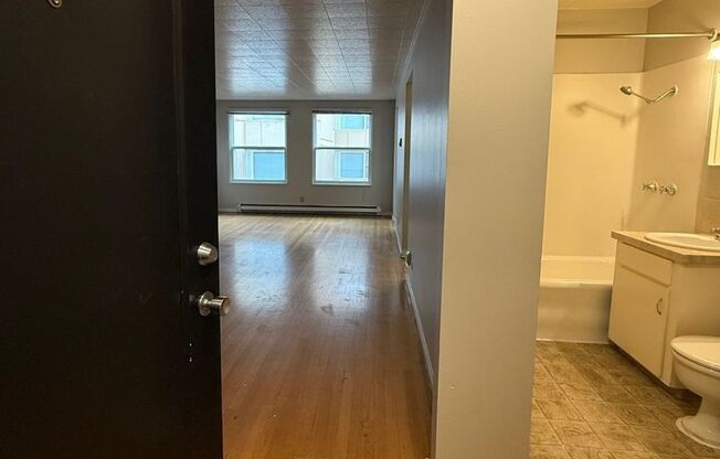 Studio, 1 bath, 510 sqft, $1,300, Unit 411