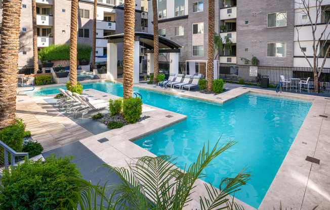 our apartments have a large swimming pool with chairs and palm trees