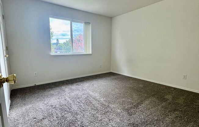 355,57,59,61 Shelby Ln.