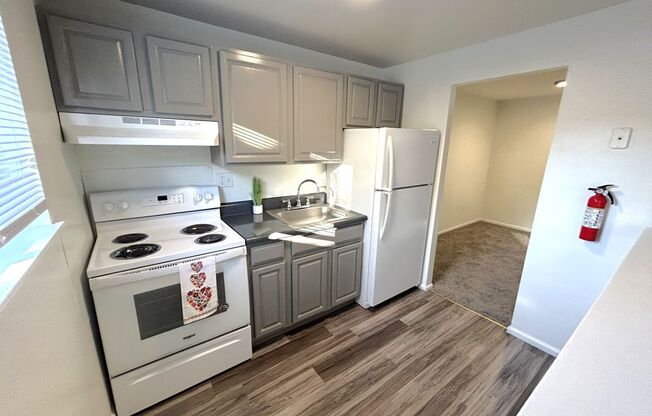 1 bed, 1 bath, 750 sqft, $1,189, Unit B04