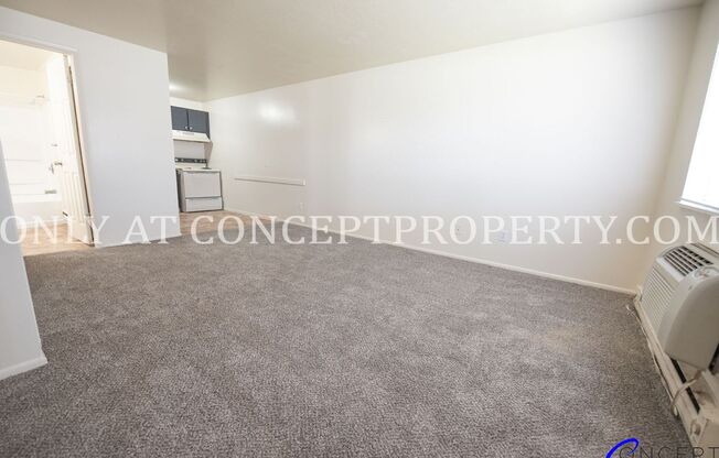 Studio, 1 bath, 360 sqft, $699, Unit 234