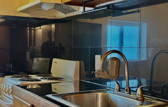 Studio, 1 bath, 350 sqft, $1,295, Unit 203