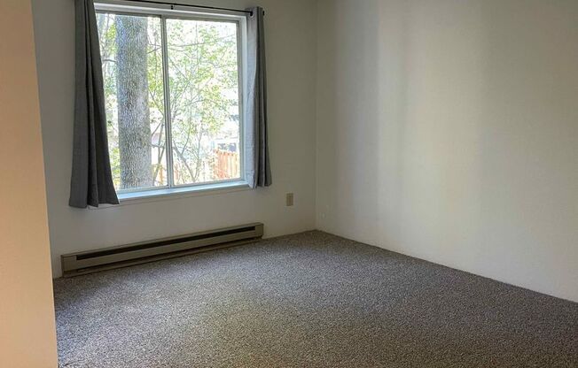 First Full Month's Rent Free! Bright and Airy One Bedroom Condo - Water, Sewer & Trash Covered!