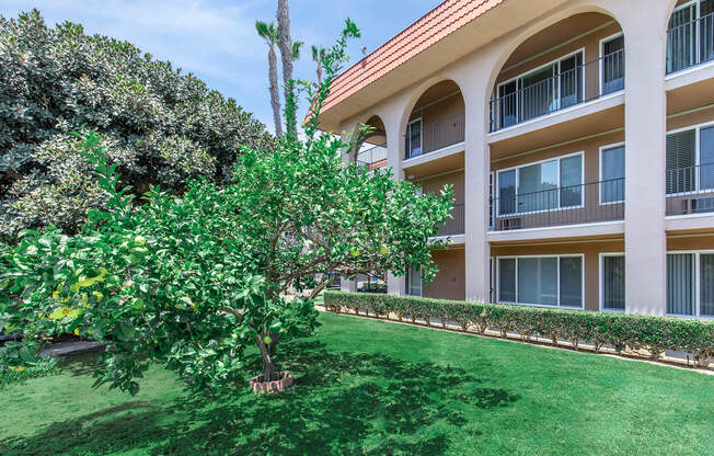 a large lawn in front of a building