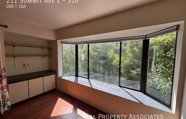 211 Summit Ave E Unit S112