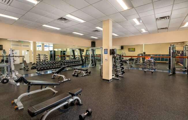 a fitness center with weights and cardio equipment in a gym