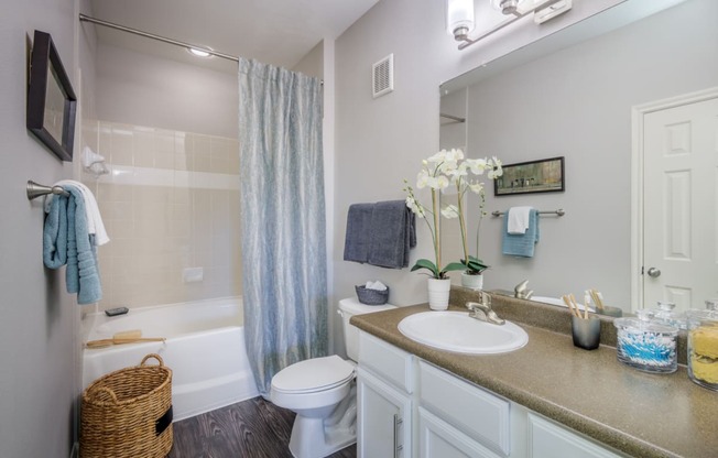 Modern Bathroom  at Parmer Place Apartments in Austin