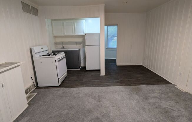 Studio, 1 bath, $500, Unit 4