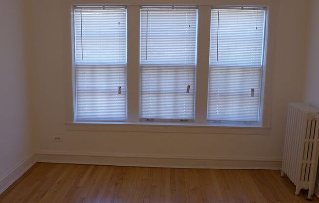 1 bed, 1 bath, 725 sqft, $1,550, Unit 203