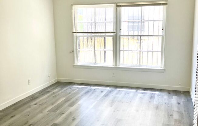 Studio, 1 bath, 306 sqft, $1,550