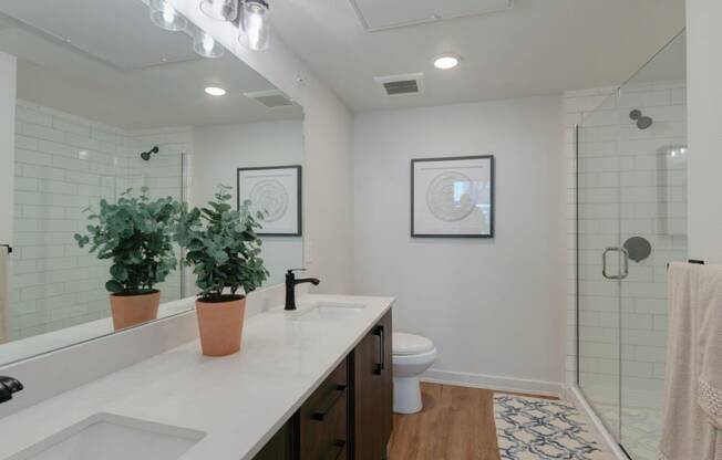 a bathroom with a sink and a toilet and a shower