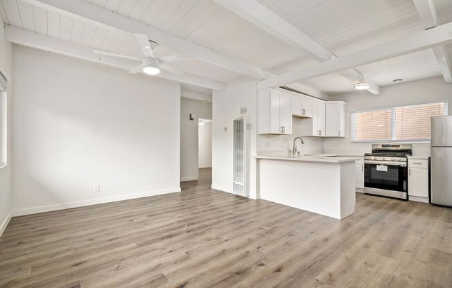 Quiet Downtown 2 bedroom 1 bath newly renovated apartment