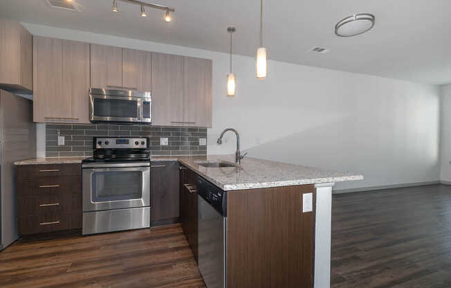 Kitchen and Living Area with Hard Surface Flooring