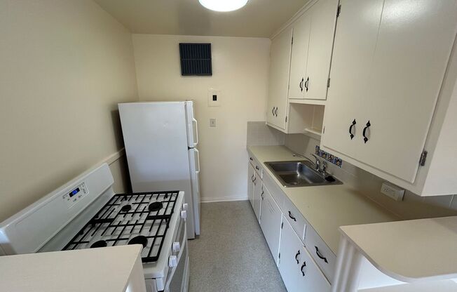 1 bed, 1 bath, 535 sqft, $1,050, Unit 207