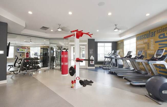 Professional fitness studio with yoga zone, virtual trainer and boxing station