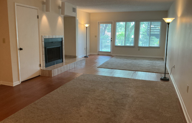Lakeview Condo Coming Soon | Directly Across from Lake Hollingsworth