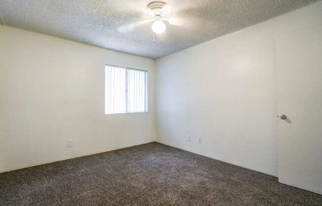 A room with a carpeted floor and a window with blinds.