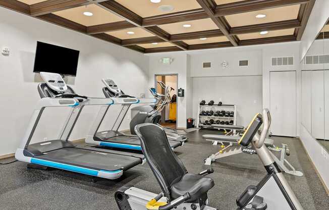 A gym with treadmills, weights, and exercise equipment.