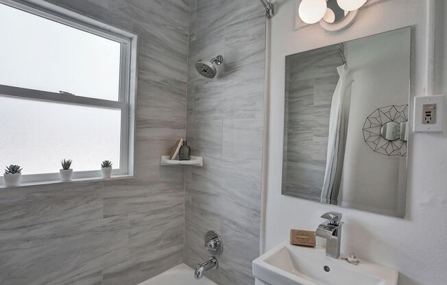 Studio, 1 bath, 235 sqft, $1,095, Unit 203
