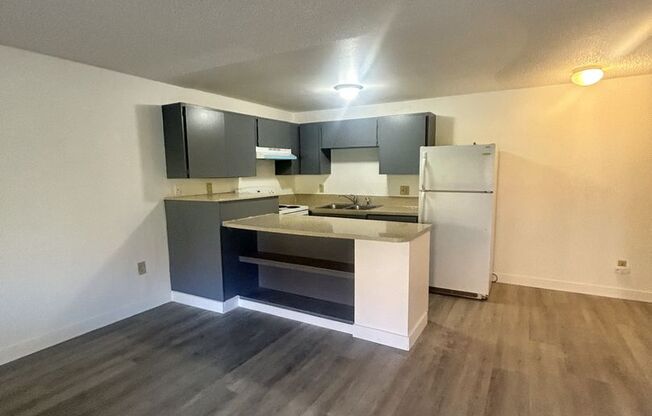 1 bed, 1 bath, 576 sqft, $1,225, Unit 4