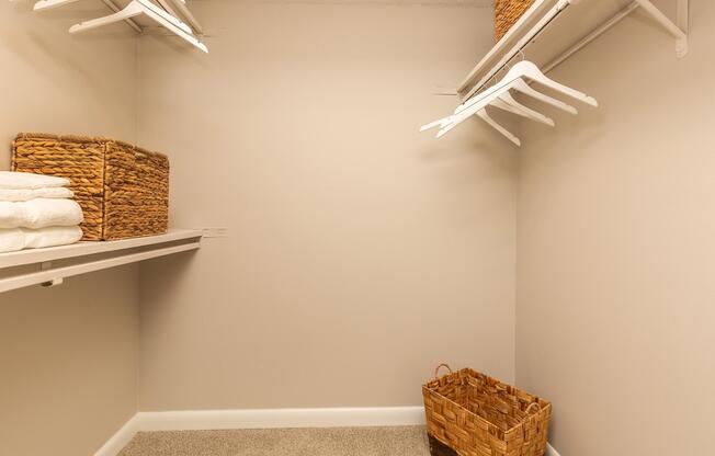 Carrington Walk-In Closet at Madison Landing at Research Park Apartments in Madison, AL