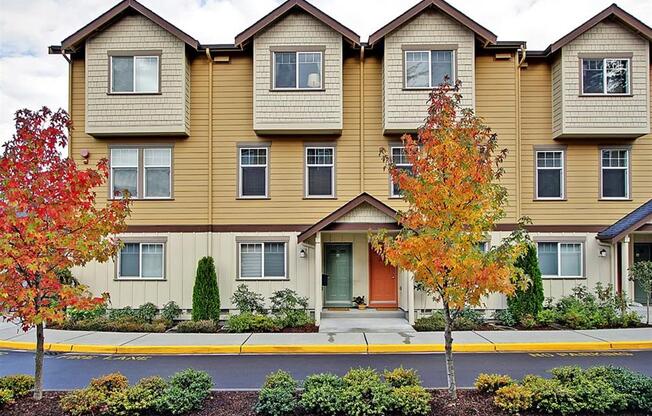 Apartments for Rent in Kenmore WA - Northshore Townhomes - Property Exterior Surrounded by Trees, with Street View, Featuring Brightly-Colored Doors, Tan and Yellow Walls, Brown Trim, and Multiple Sto