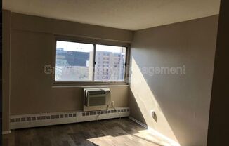 2101-17 CHESTNUT ST #620