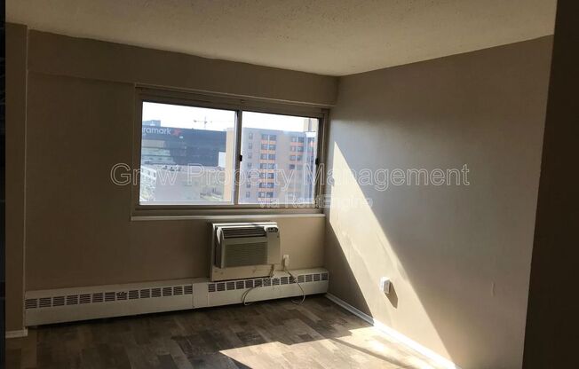 2101-17 CHESTNUT ST #620