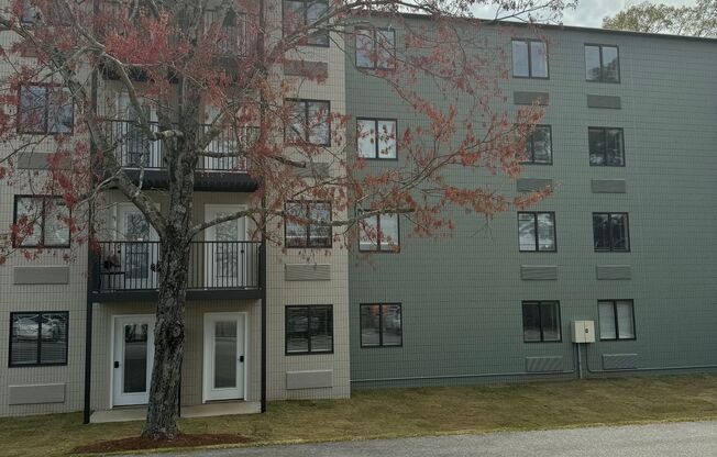The Residences at Arbor Lake, a 55+ Community