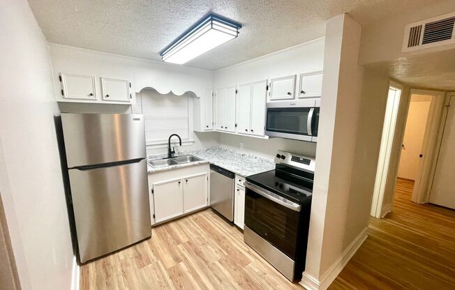 NEWLY RENOVATED! 2 Bed, 1 Bath Available for Rent in Brandon!